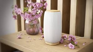 Diffuseurs Pranarôm